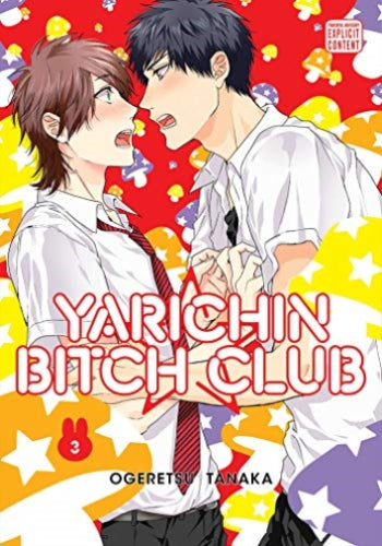 Yarichin Bitch Club: Yarichin Bitch Club, Vol. 3, Volume 3 (Series #3) (paperback)